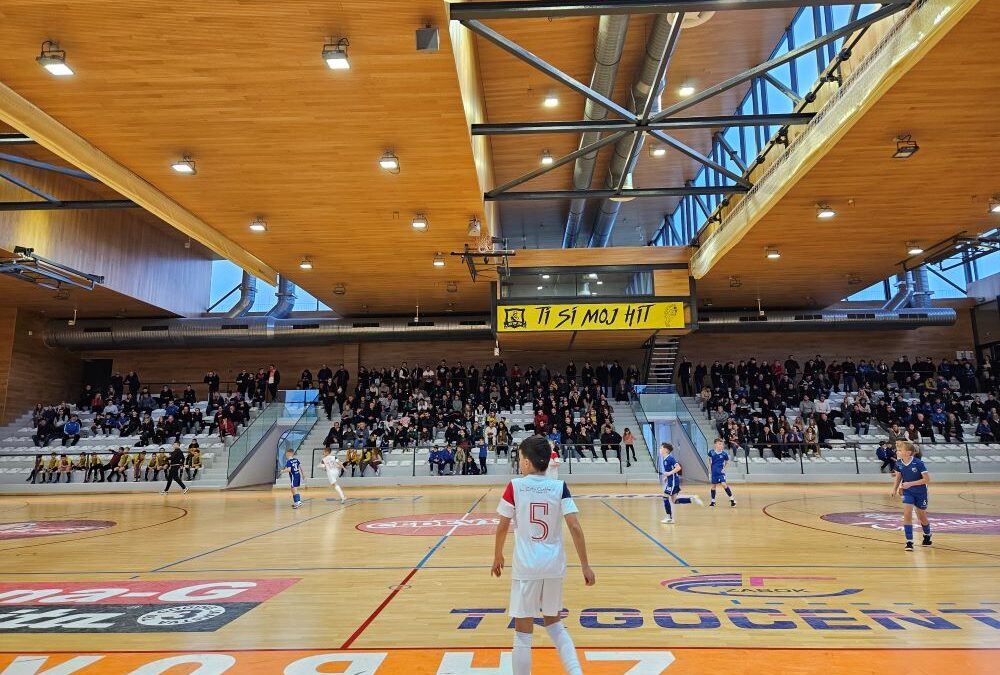FINALNI DAN 23. DVORANSKOG TURNIRA MLADEŽI NSKZŽ
